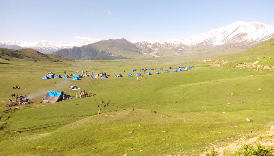 Camping tents in a green mountain meadow beneath snow-covered peaks